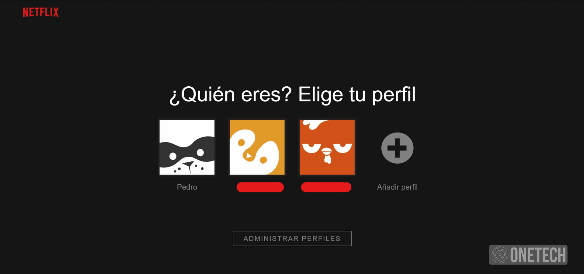 perfil de netflix