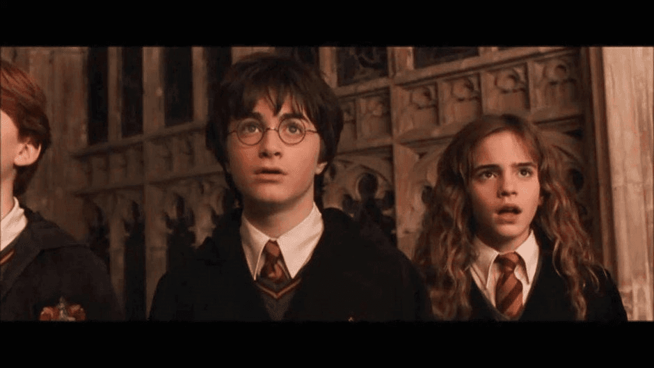 Harrypotter e la camera dei segreti film