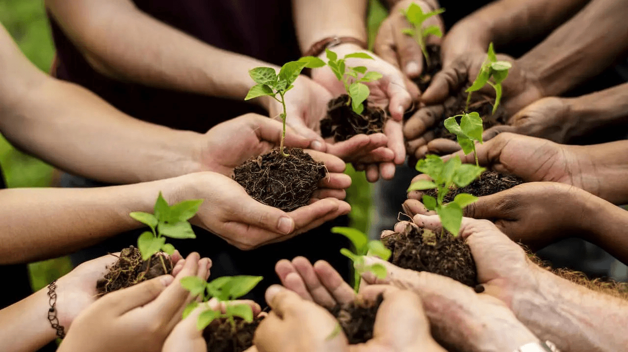 Una persona o un amico in più può sempre aiutare