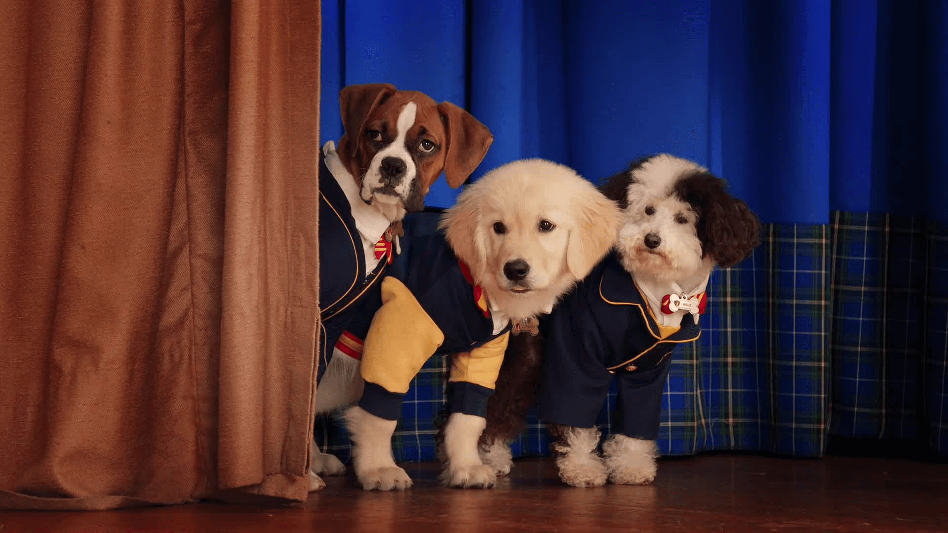 Pup Academy on Netflix